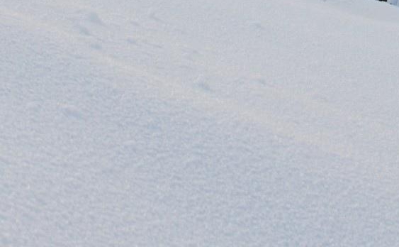 曲靖粉象生活app