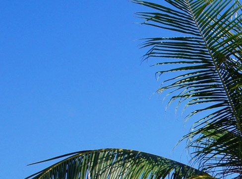 粉象生活是什么样的平台