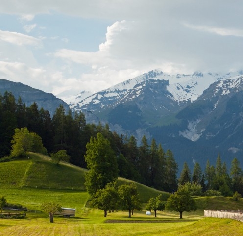 东莞粉象生活怎么样