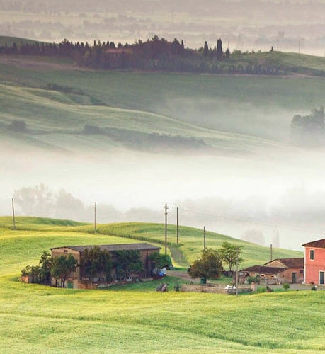 粉象生活开店怎么收费