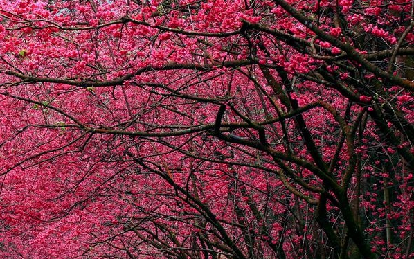 粉象生活是什么东西,真的靠谱吗