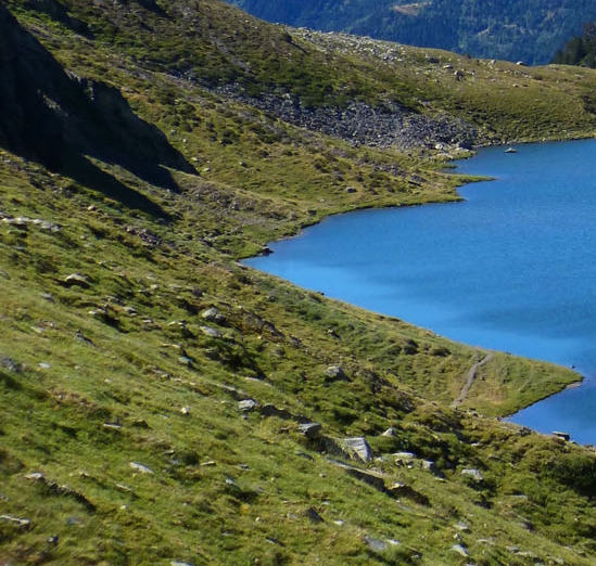 粉象生活没有隐私