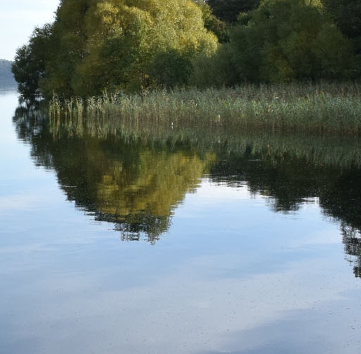 粉象生活邀请码