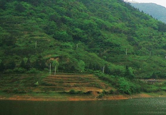 徐州粉象生活电话