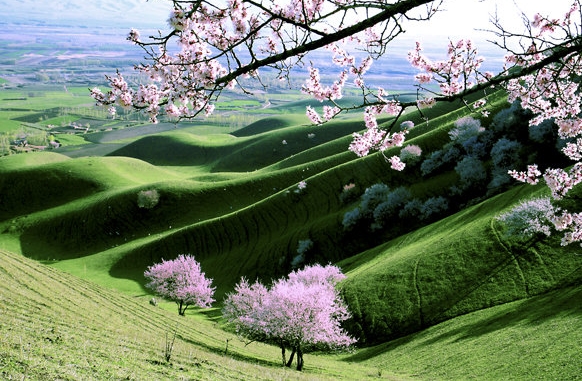 茂名粉象生活推广