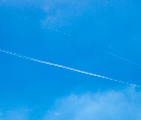 有没有和粉象生活一样的app