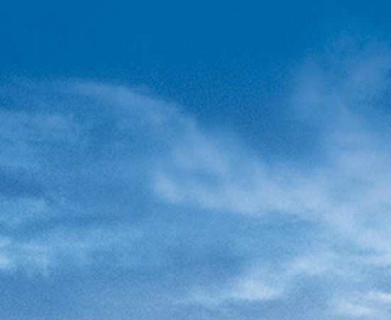 台州正规粉象生活可靠吗