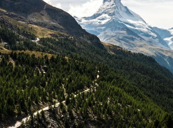 粉象生活赚钱教程