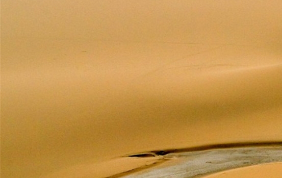 粉象生活真实收入