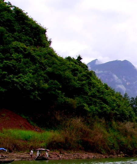 可以在闲鱼上推荐粉象生活