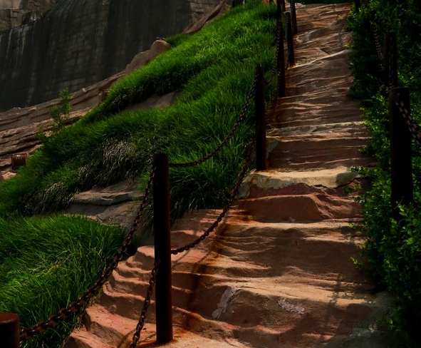 湖南粉象生活代理