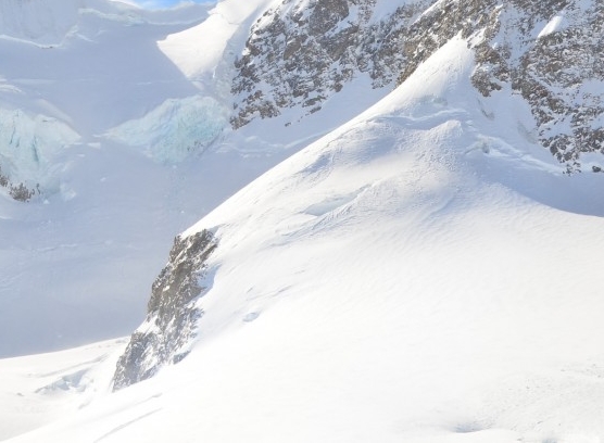 粉象生活怎么赚钱