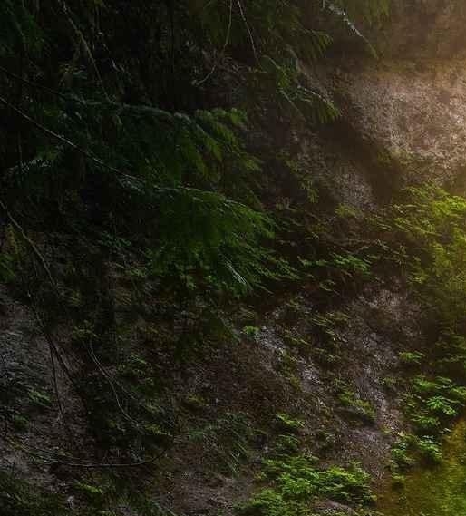 粉象生活下载app