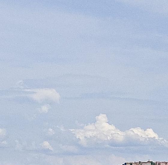 粉象生活app最新版