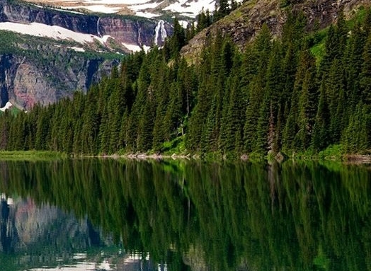 活性白土淄博经销商