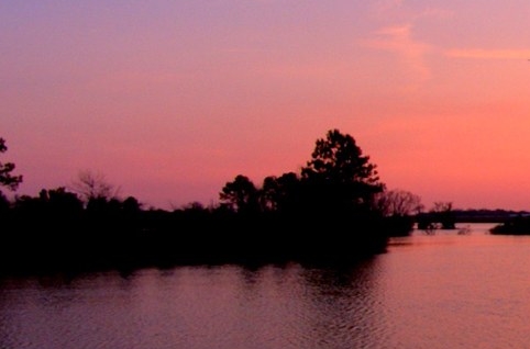 常德粉象生活app