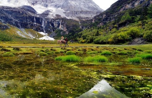 肇庆粉象生活如何使用