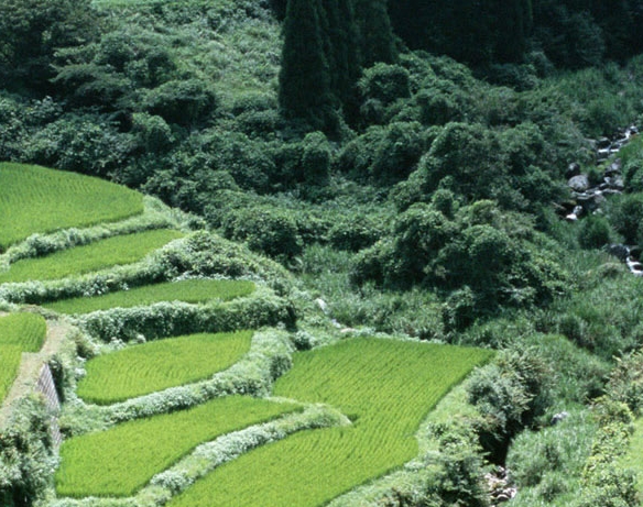 粉象生活邀请码