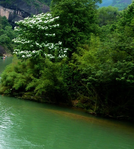 粉象生活怎么赚钱