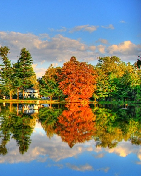 粉象生活开店如何