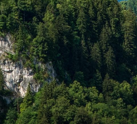 粉象生活邀请文章