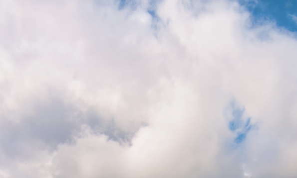 为什么做粉象生活