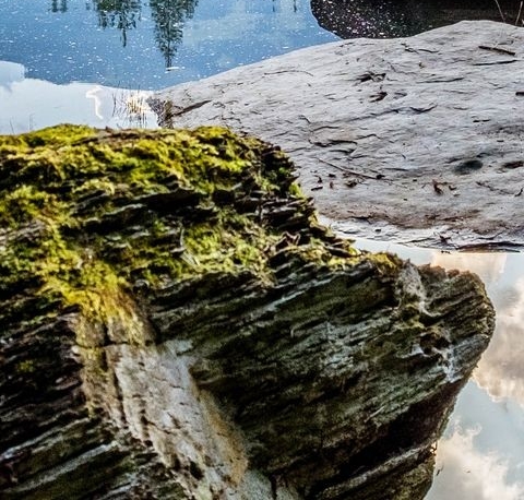 粉象世界app下载