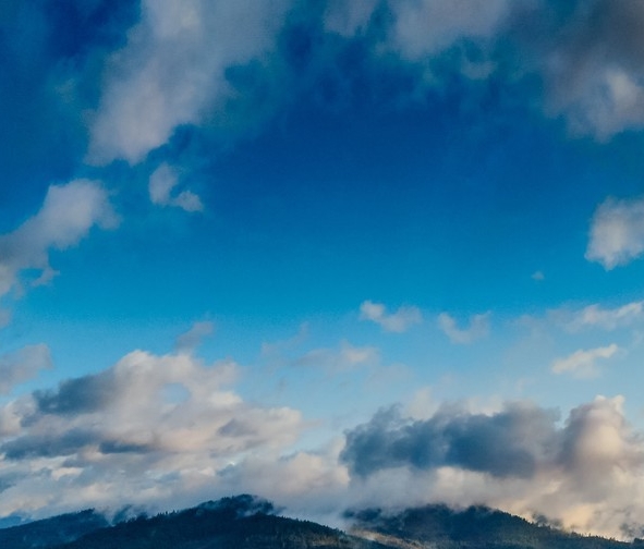 粉象生活邀请码