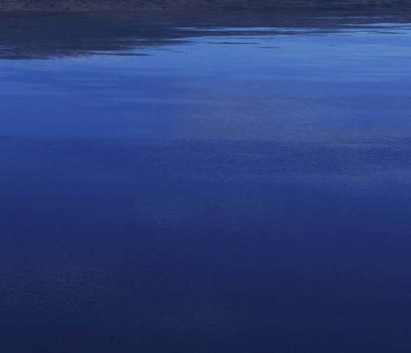 粉象生活红包搜索