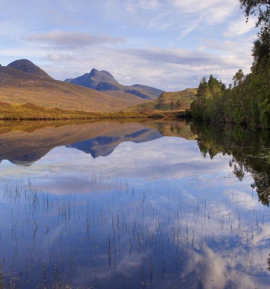 粉象生活推广一个多少钱