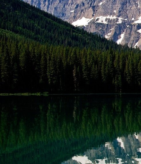 网上购物是不是公共生活