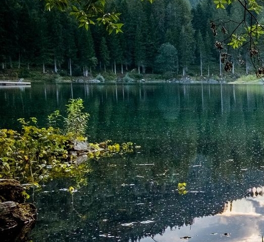 粉象生活团长奖励