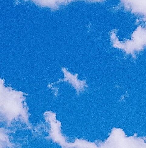 粉象生活邀请码