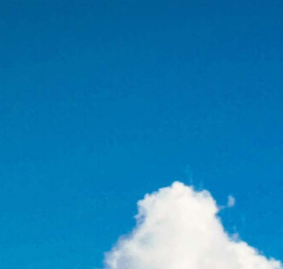 粉象生活赚钱教程