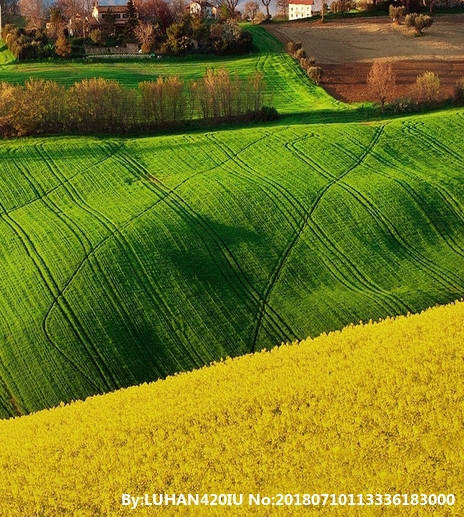 粉象生活购物商店