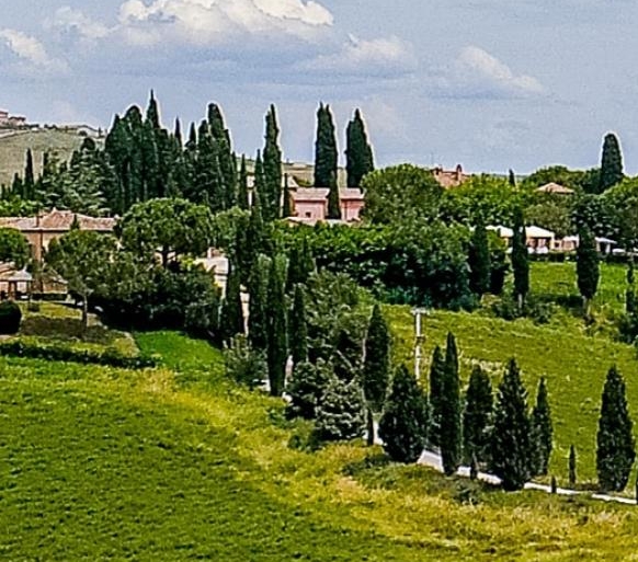 粉象生活vip怎么获得