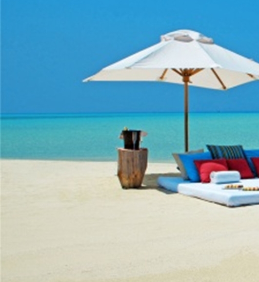 粉象生活一个粉丝多少收益