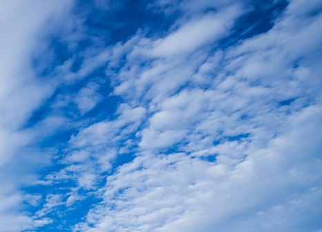 丽江粉象生活app