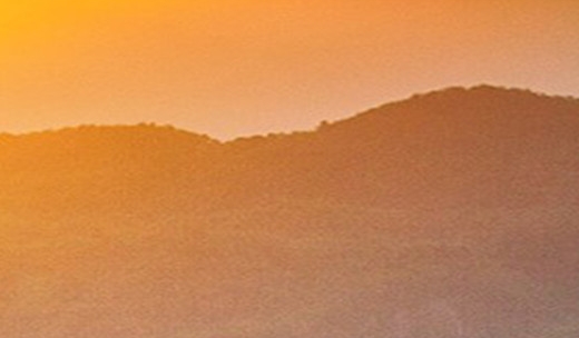 粉象生活可以赚钱吗