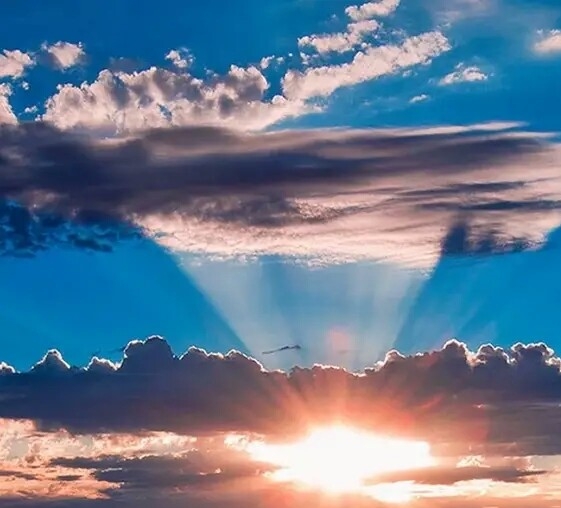 粉象生活是正规平台吗