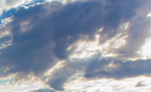 粉象生活邀请码