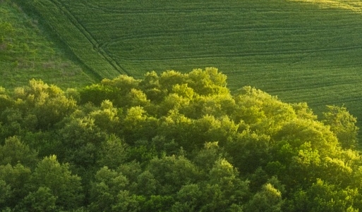粉象生活赚钱教程