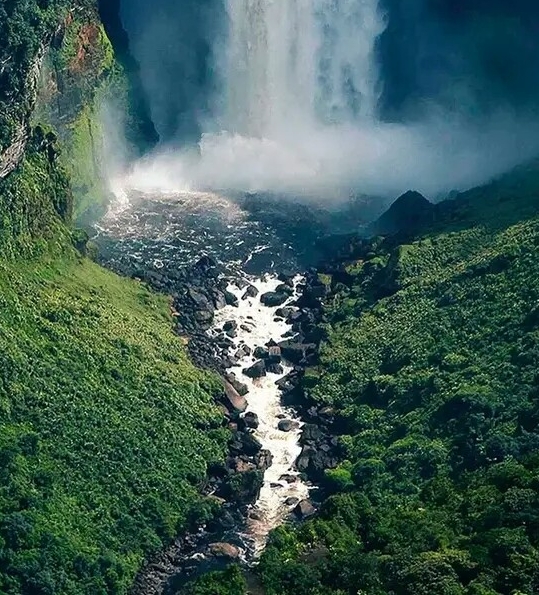 滨州粉象生活收入