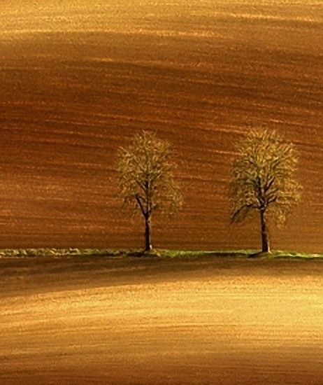 粉象生活怎么赚取佣金