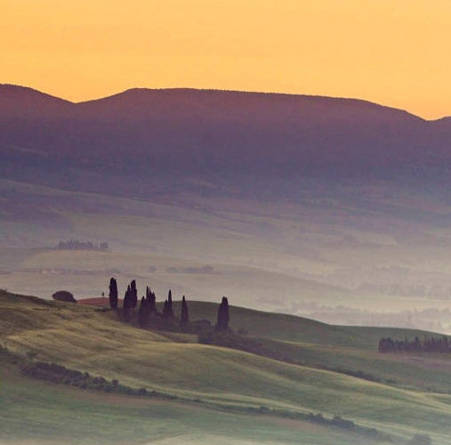 生活中常用的标识图片与文字