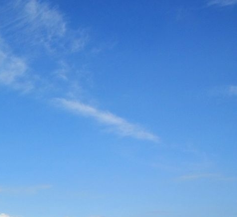 粉象生活邀请码