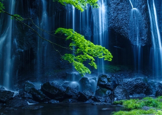 粉象生活软件安全吗