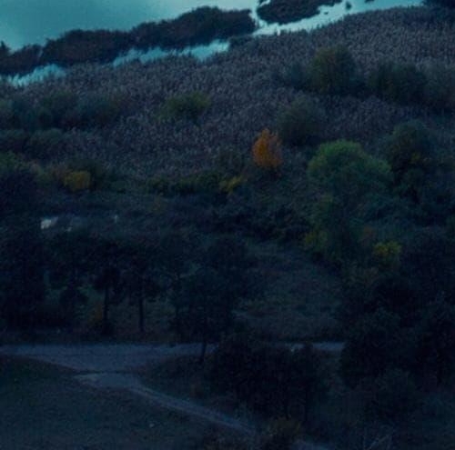 做粉象生活靠谱吗