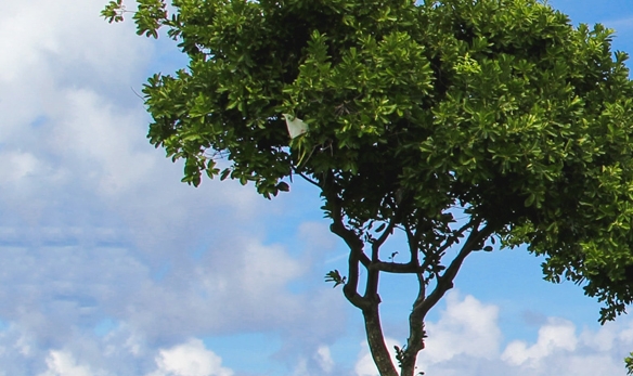 粉象生活旅游怎么样