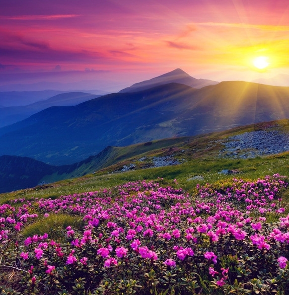 深圳粉象生活加盟代理